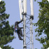 Vertical TowerLatch system on telecom lattice tower